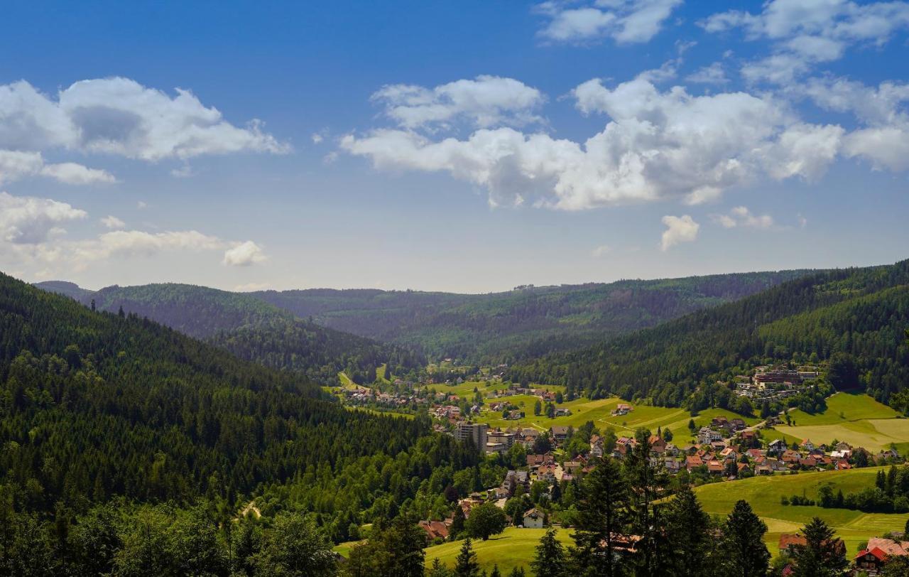 Rechtmurg 27 Baiersbronn Buitenkant foto